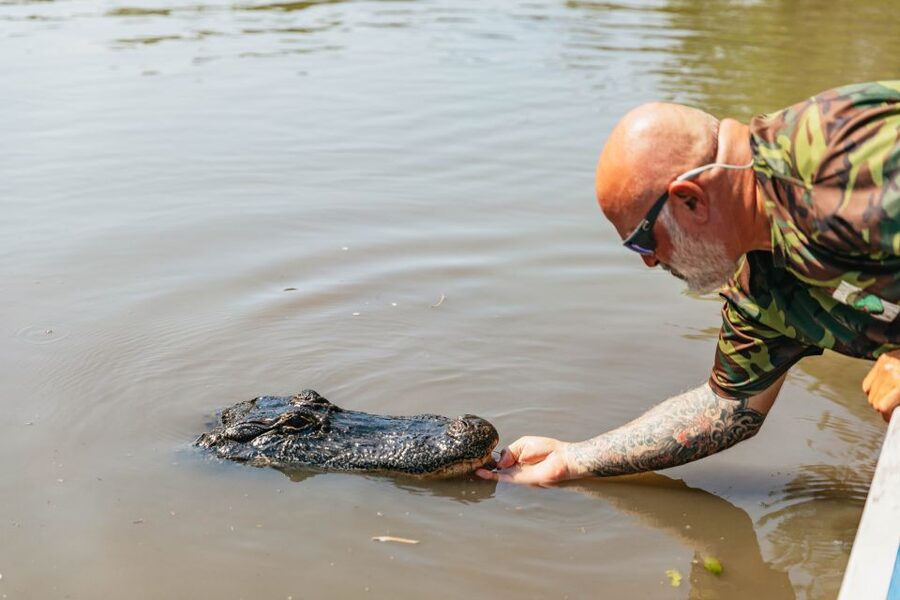 New Orleans: High Speed 9 Passenger Airboat Tour - Cajun wetland life: why the stories stick