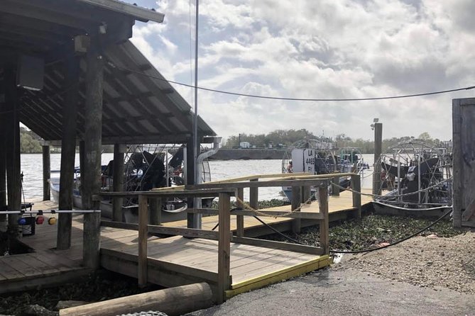 New Orleans Large Airboat Swamp Tour - The alligator factor: how to set your expectations correctly