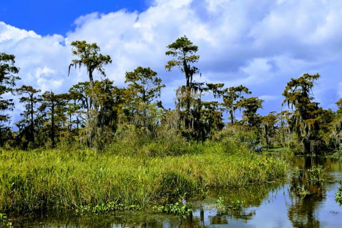 New Orleans Large Airboat Swamp Tour - Who this tour suits best, and who should skip it