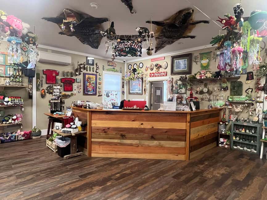 New Orleans Manchac Bayou Swamp Cruise W/ Optional Pick-Up - The 90-minute swamp ride: what you actually do on the boat