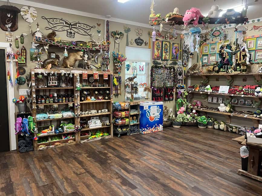 New Orleans Manchac Bayou Swamp Cruise W/ Optional Pick-Up - Cajun stories and the wetlands lesson you’ll remember
