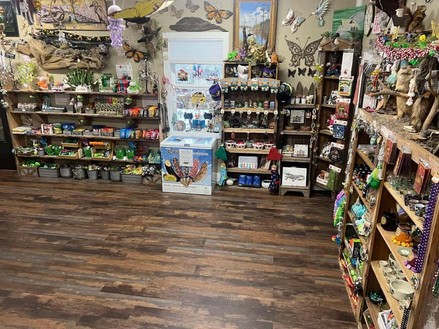 New Orleans Manchac Bayou Swamp Cruise W/ Optional Pick-Up - Price and value: how $35 makes sense if you care about the right things