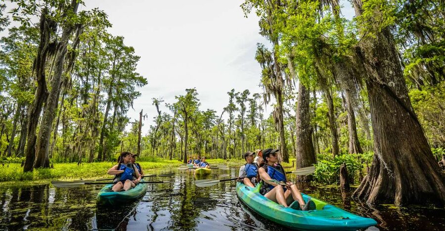New Orleans: Manchac Magic Kayak Swamp Tour - Getting to Bayou Manchac from New Orleans Rampart Street