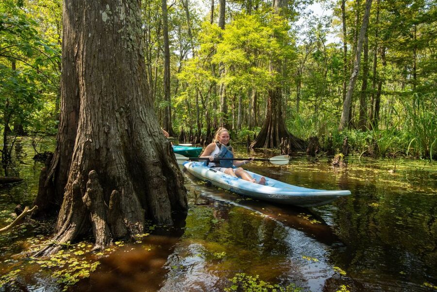 New Orleans: Manchac Magic Kayak Swamp Tour - Price and value: is $90 for a 2-hour paddle worth it?