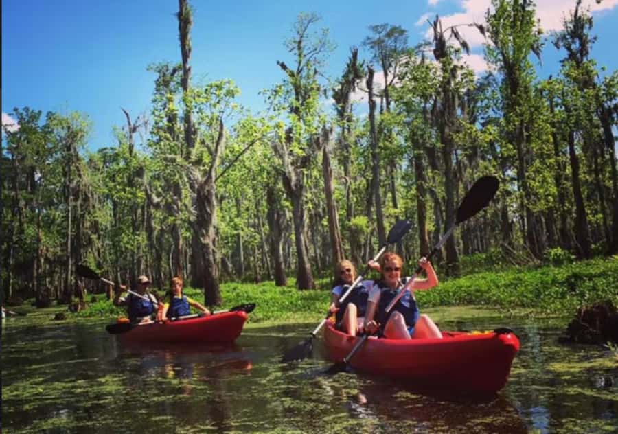 New Orleans: Manchac Swamp Wildlife Kayaking Tour - Getting There from the French Quarter: Pickup or Launch Site Meet
