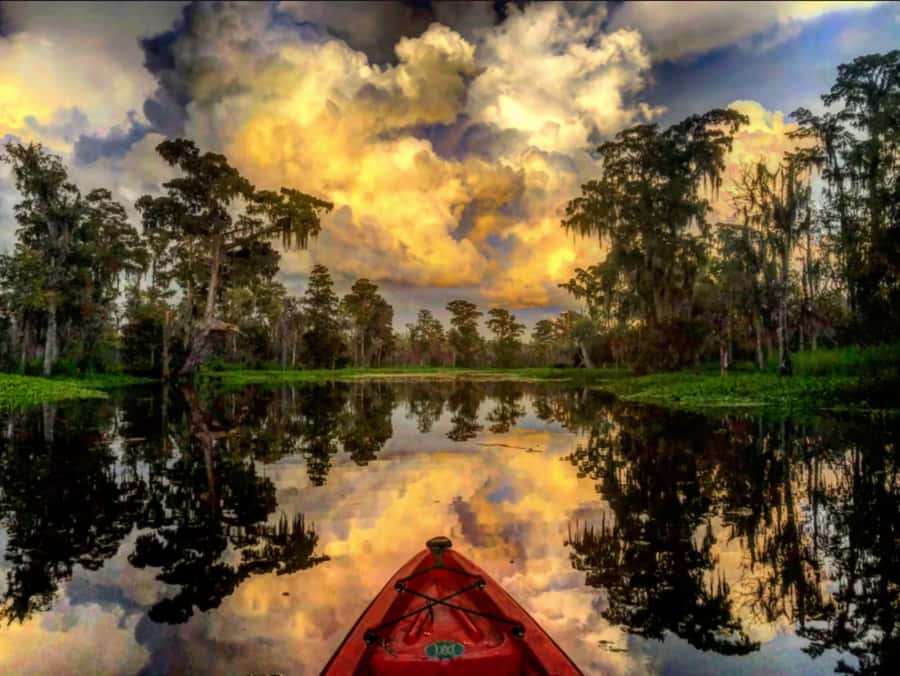New Orleans: Manchac Swamp Wildlife Kayaking Tour - What the 4–8 Hours Really Feel Like on the Water