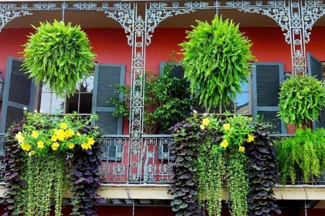 New Orleans Mardi Gras 2026 Experience - Price and Value: Why $33 Can Feel Like a Steal