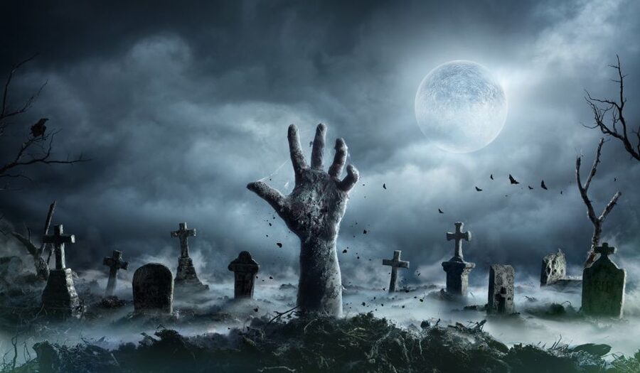 New Orleans: Night Cemetery and Ghost BYOB Bus Tour - How EMF readers and dowsing rods actually fit the night