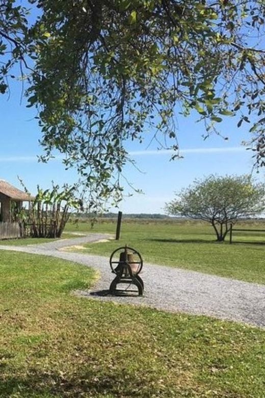 New Orleans: Oak Alley & Laura Plantation Tour w/Transport - Meeting point and prompt departure: how to avoid a stress sandwich