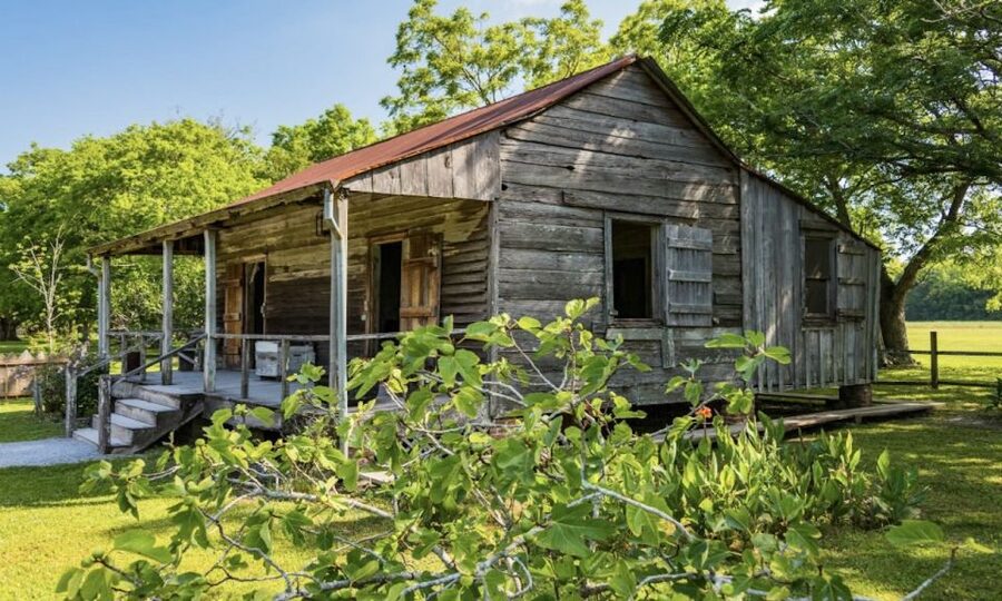New Orleans: Oak Alley or Laura Plantation & Airboat Tour - Key things to know before you book