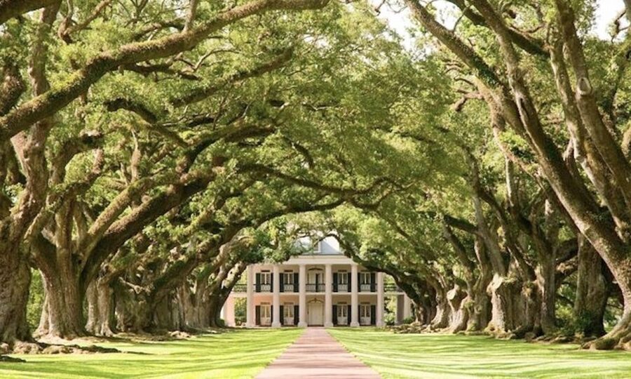 New Orleans: Oak Alley or Laura Plantation & Airboat Tour - Two hours at the plantation: what that timing really buys you