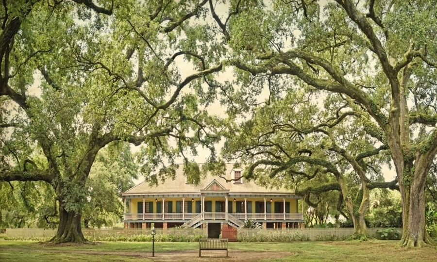New Orleans: Oak Alley or Laura Plantation & Airboat Tour - Who should book, and who should skip the airboat