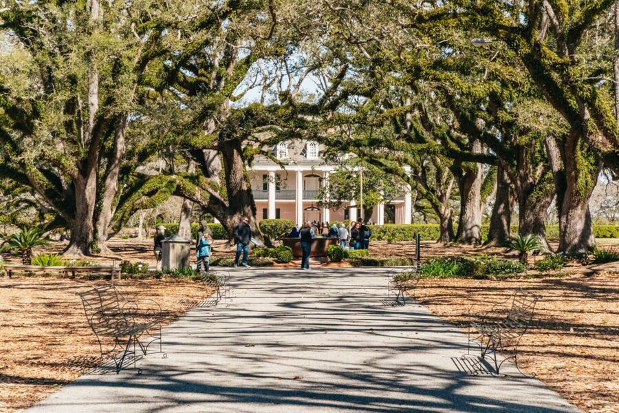 New Orleans: Oak Alley Plantation & Airboat Swamp Combo Tour - Oak Alley Plantation: the house tour, the oaks, and the slavery context