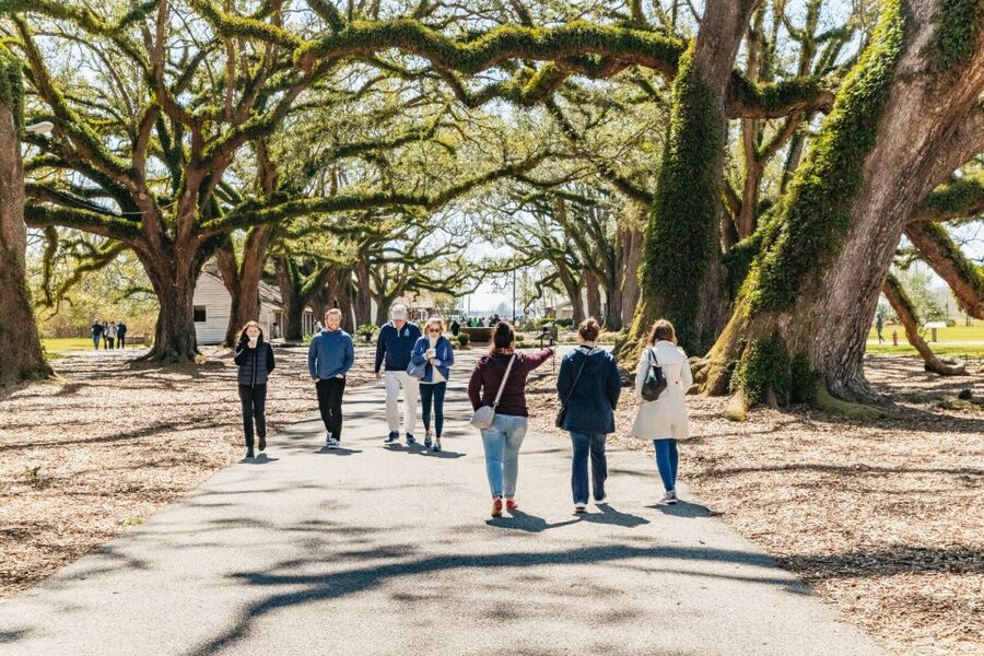 New Orleans: Oak Alley Plantation & Airboat Swamp Combo Tour - Price and value: what $160 is really buying you