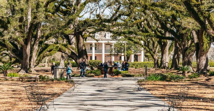 New Orleans: Oak Alley Plantation & Airboat Swamp Combo Tour - Hotel pickup window and the bus ride: when to be ready