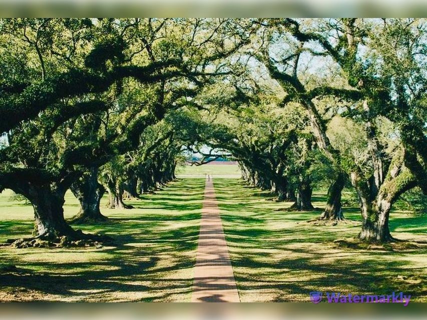 New Orleans: Oak Alley Plantation and Katrina City Tour - Key points worth knowing before you go