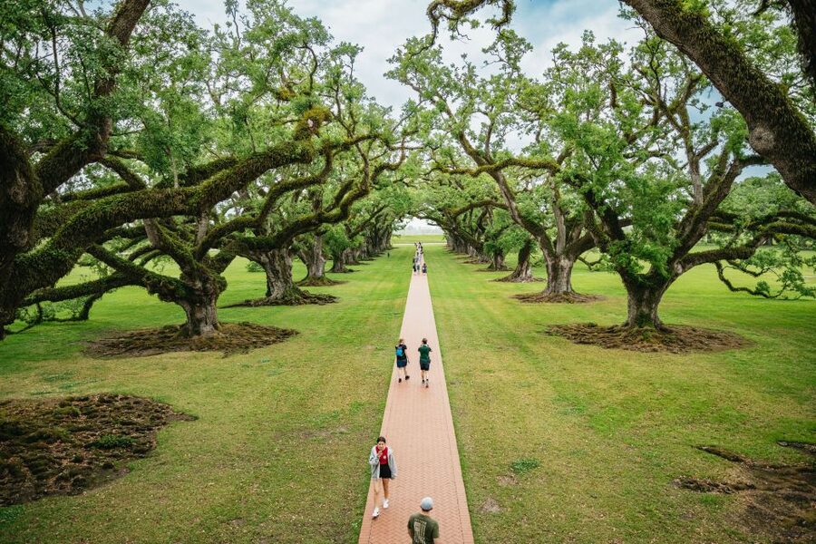 New Orleans: Oak Alley Plantation and Swamp Cruise Day Trip - Oak Alley Plantation: walking the famous oaks and the hard parts