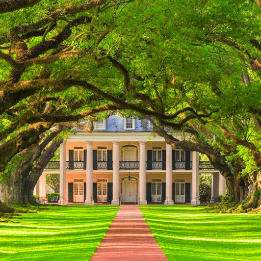 New Orleans: Oak Alley Plantation Tour and Transportation - The Provider Side: 2nd Line Tours and the Style of Day