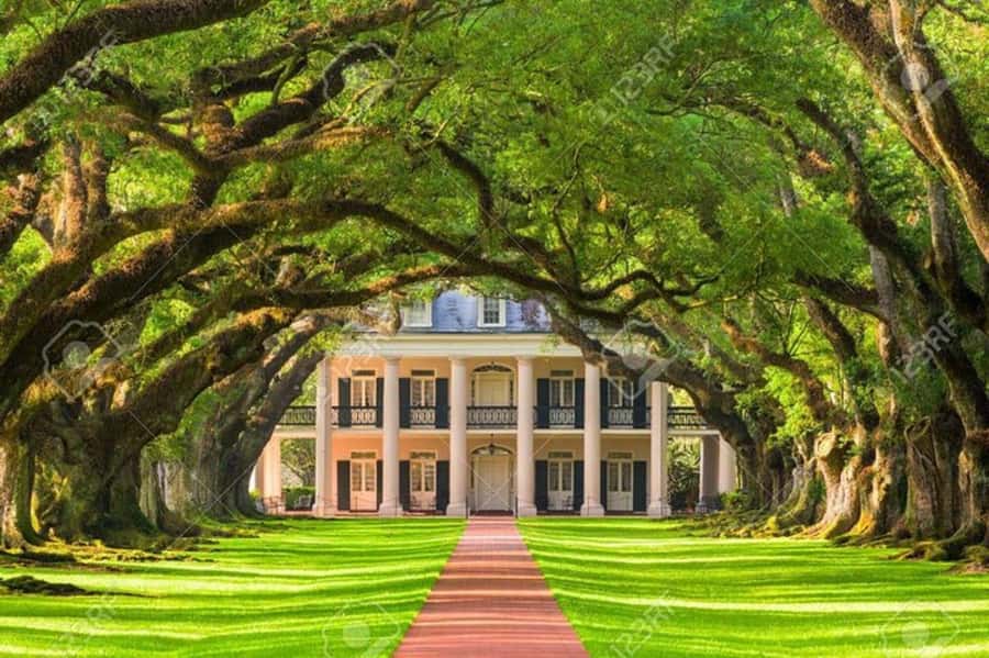 New Orleans: Oak Alley Plantation Tour with Hotel Transfers - The arrival under 28 oak trees sets the tone fast