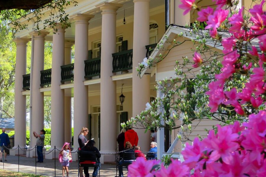 New Orleans: Oak Alley Plantation Tour with Transportation - Optional upgrade: Manchac Swamp on a covered pontoon boat