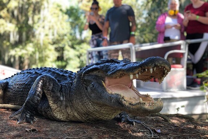 New Orleans Premium Six-Passenger Airboat Adventure - New Orleans to Lafitte: the Mississippi River staging drive