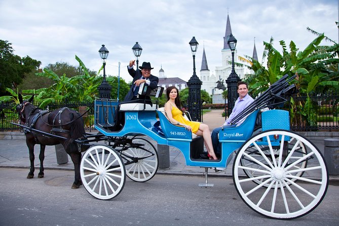 New Orleans Private Carriage Tour of the French Quarter - Why a private mule carriage makes sense in the French Quarter