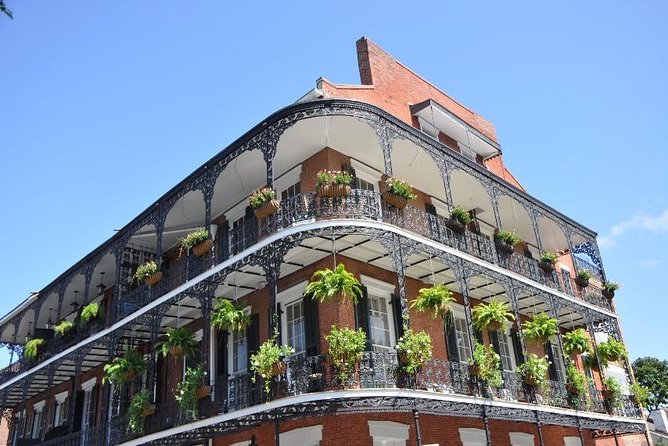 New Orleans Private Carriage Tour of the French Quarter - Your guide matters more than you think