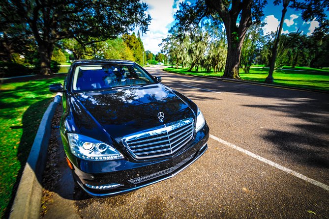 New Orleans Private Vehicle City Tour - New Orleans City Park: Live Oaks, Shade, and a Breather