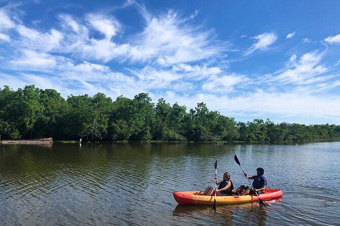 New Orleans Self-Guided Kayak Bayou Swamp Tour - Key highlights to know before you go