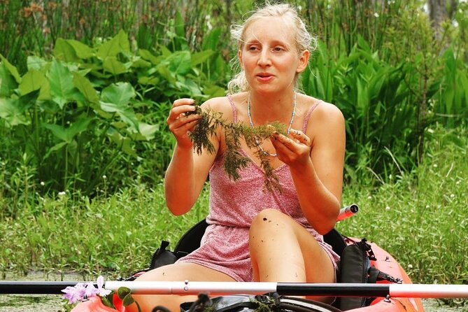 New Orleans Self-Guided Kayak Bayou Swamp Tour - Bayou Sauvage National Wildlife Refuge: wildlife spotting without the rush