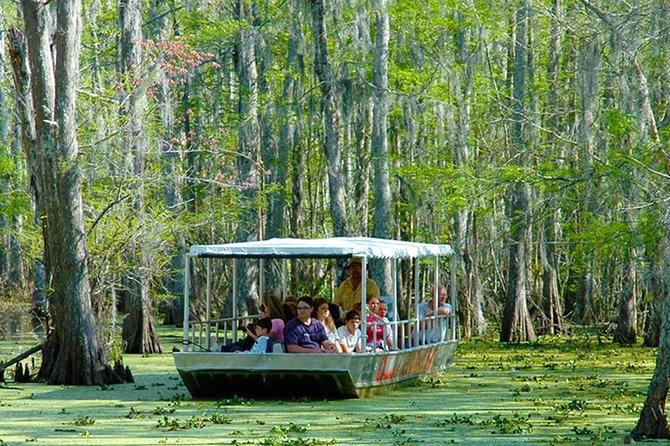 New Orleans Self-Transport Swamp and Bayou Boat Tour - The 22-passenger flat-bottom boat: quieter viewing, closer moments
