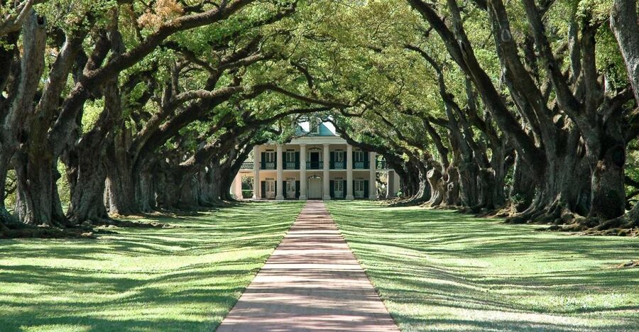 New Orleans: Single Plantation and Pontoon Swamp Day Trip - Key Points to Know Before You Go