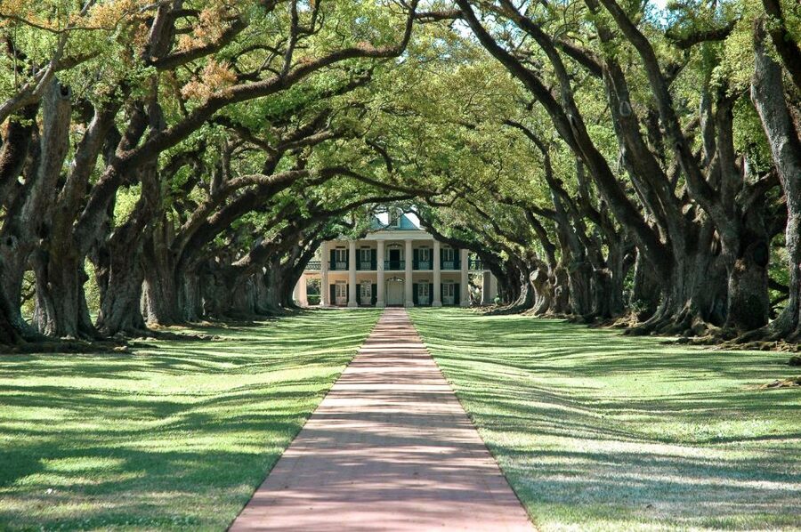New Orleans: Single Plantation and Pontoon Swamp Day Trip - Laura Plantation: French Gardens, Kitchen Gardens, and the 1840s Cabins