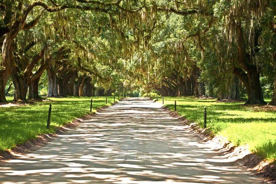 New Orleans: Single Plantation and Pontoon Swamp Day Trip - Oak Alley: Big House Interiors, Enslaved Stories, and an Actual 1890s Forge