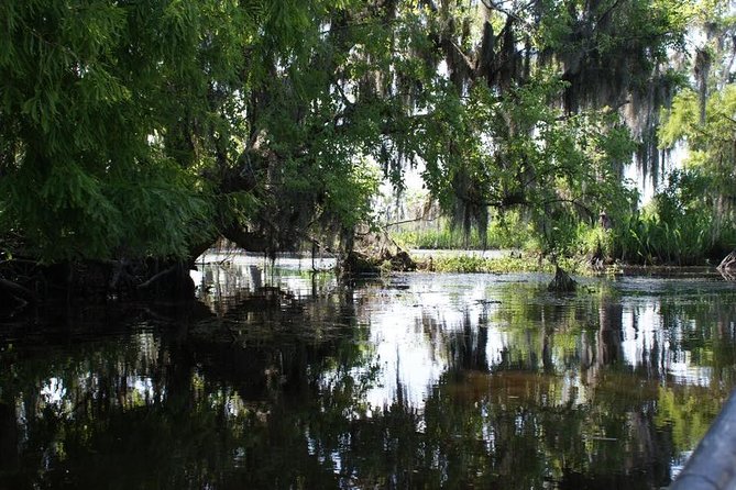 New Orleans Small-Group Airboat Swamp Tour - Stop Focus: Barataria Preserve and What You’re Actually Searching For
