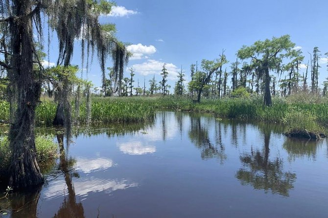 New Orleans Small-Group Airboat Swamp Tour - What the Tour Feels Like: Small Group Energy in Real Time