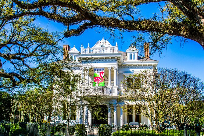 New Orleans Small-Group City Tour by Van - Warehouse District Pass-Bys and Magazine Street Energy (Plus Music Options)