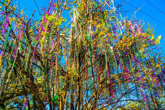 New Orleans Small-Group City Tour by Van - Who This Tour Fits Best (And Who Might Want Something Else)