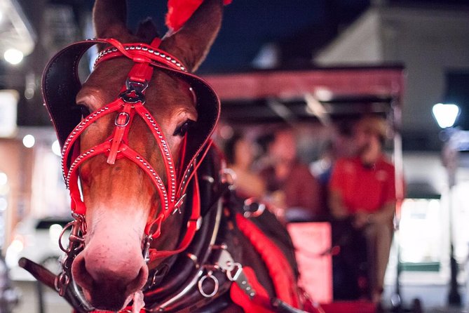 New Orleans Small-Group Haunted History Carriage Tour - Why a haunted mule carriage beats a walking ghost tour