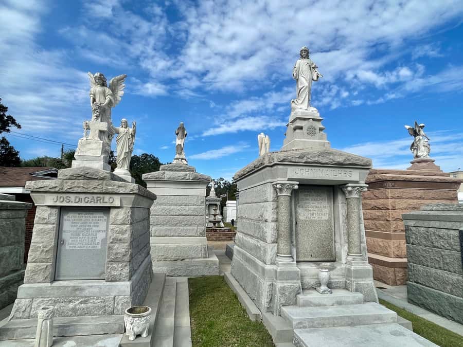 New Orleans: St. Louis Cemetery #3 Guided Walking Tour - Tomb Types You’ll See Up Close: Vaults, Columbariums, and Family Spaces