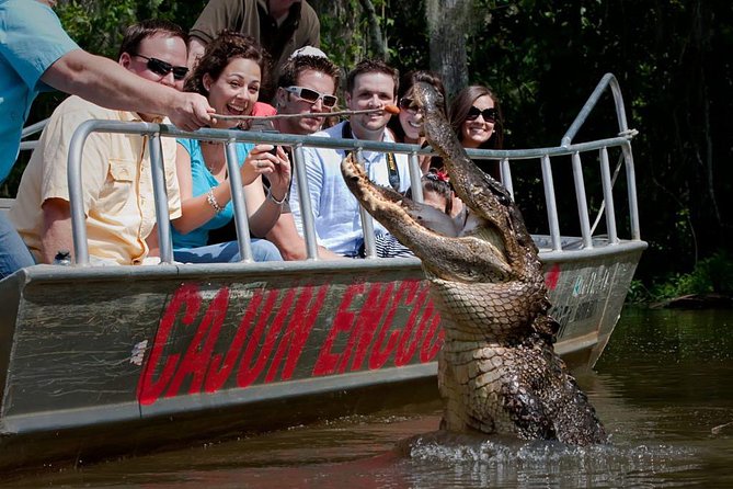 New Orleans Swamp and Bayou Boat Tour with Transportation - Key Things That Make This Tour Worth Your Time
