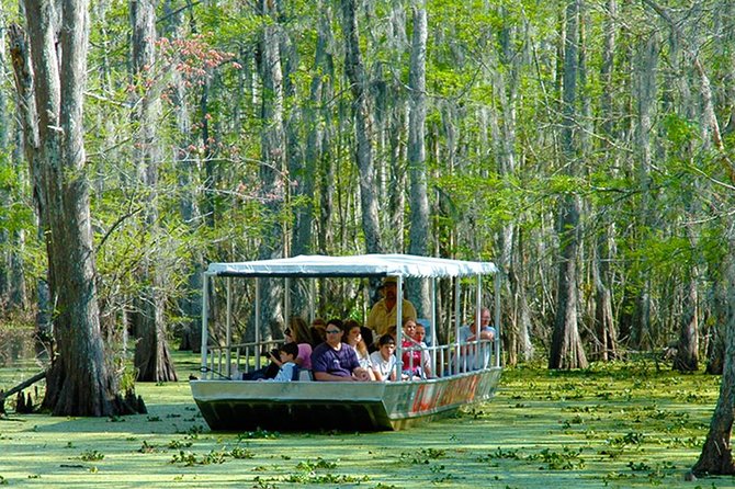 New Orleans Swamp and Bayou Boat Tour with Transportation - The Cajun Village Stop: Seeing Cajun Life From the Water