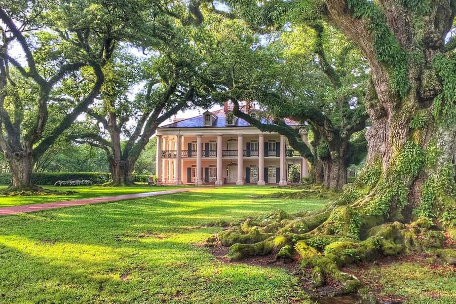 New Orleans: Swamp Boat Ride & Oak Alley Plantation Tour - Quick hits on Oak Alley and the Manchac Swamp