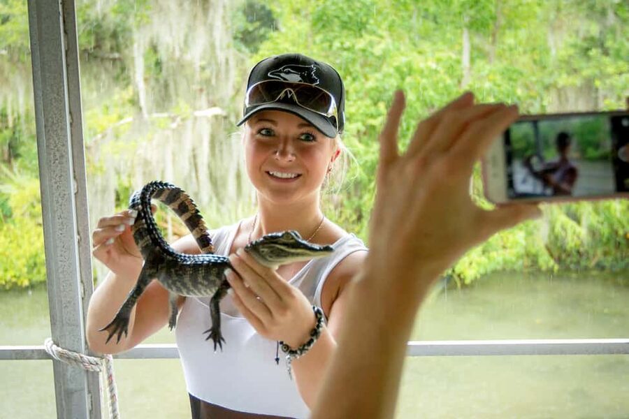 New Orleans: Swamp Boat Ride & Oak Alley Plantation Tour - Getting started at the Steamboat Natchez dock (and why it matters)