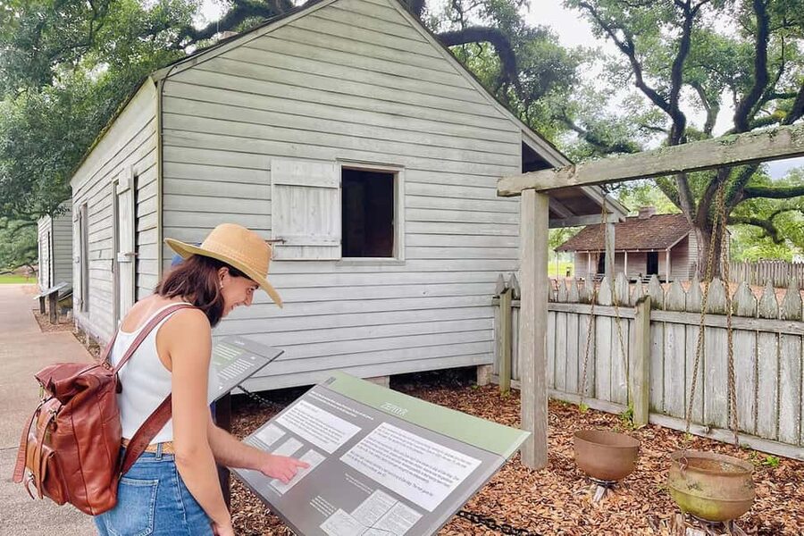 New Orleans: Swamp Boat Ride & Oak Alley Plantation Tour - Manchac Swamp pontoon cruise: wildlife, Cajun fishing culture, and snack-time alligators