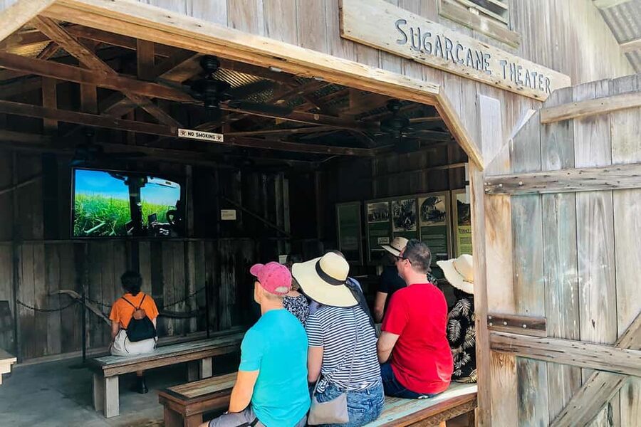 New Orleans: Swamp Boat Ride & Oak Alley Plantation Tour - FAQ