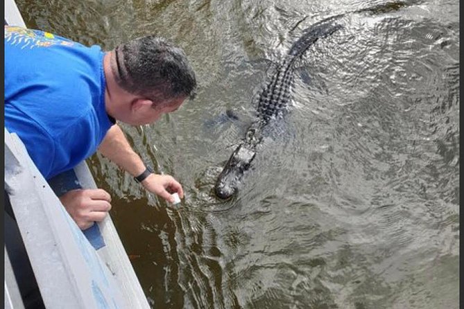 New Orleans Swamp Tour Boat Adventure - Cultural landmarks on the route: cemeteries, burial mounds, and a fishing village