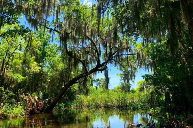 New Orleans Swamp Tour Boat Adventure with Transportation - How the Pickup + 2-Hour Boat Time Really Feels