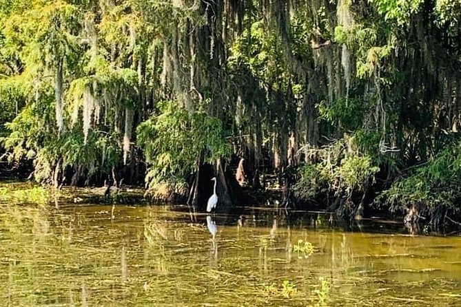 New Orleans Swamp Tour Boat Adventure with Transportation - Guides Who Make the Day: Capt. Ernie, Dewey, and Capt. Bobby