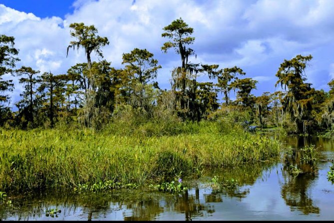 New Orleans Swamp Tour Boat Adventure with Transportation - Price and Value: Is $60 Fair for a 2-Hour Swamp Ride?
